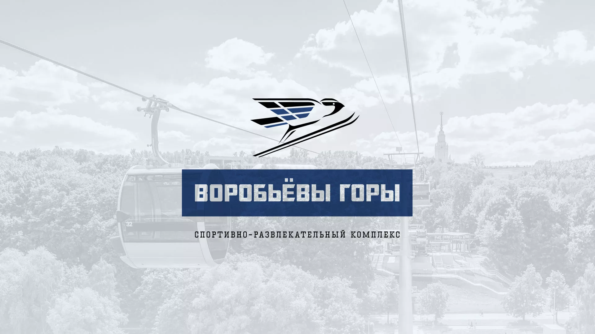 Разработка сайта в Балашове для спортивно-развлекательного комплекса «Воробьёвы горы»